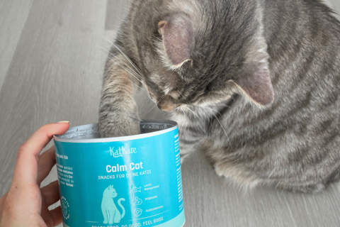 Frag die Expertin: Futterwechsel: Tipps für eine sanfte Umstellung!