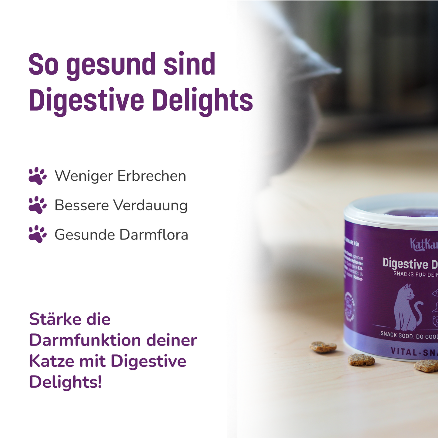 Digestive Delights