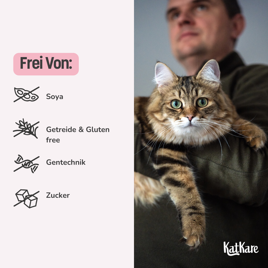 Probierpaket Calm Kitty