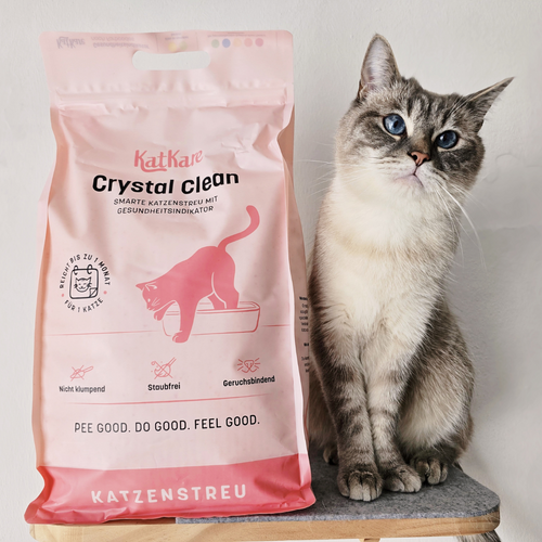 Dog gut health illustration