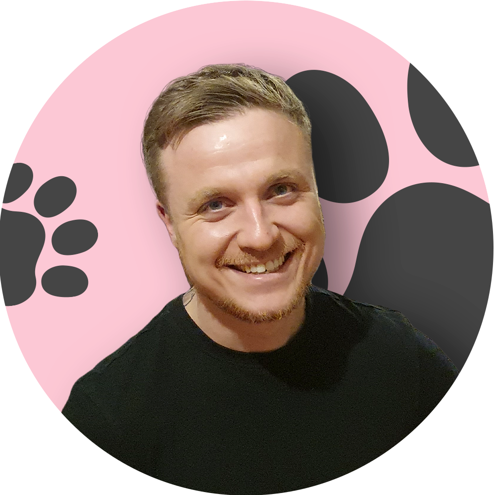 Kreativer Spracharchitekt