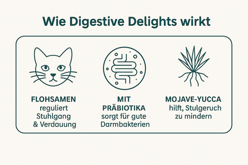 Dog gut health illustration