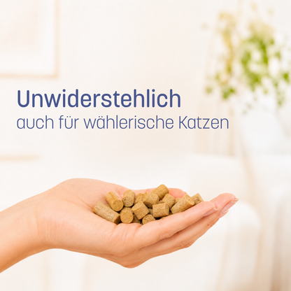 Sardine Essential 90g