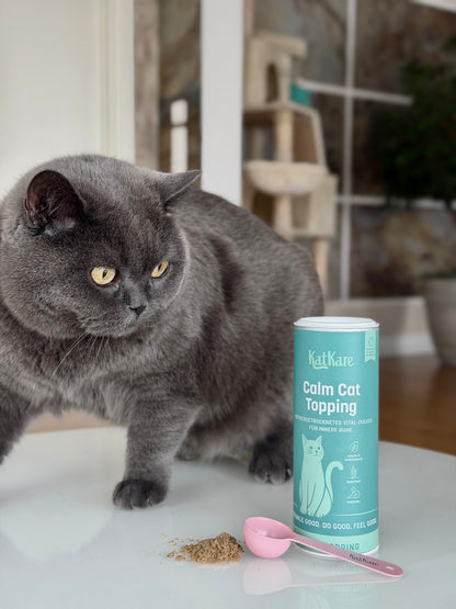 Calm Cat Topping Produktfoto