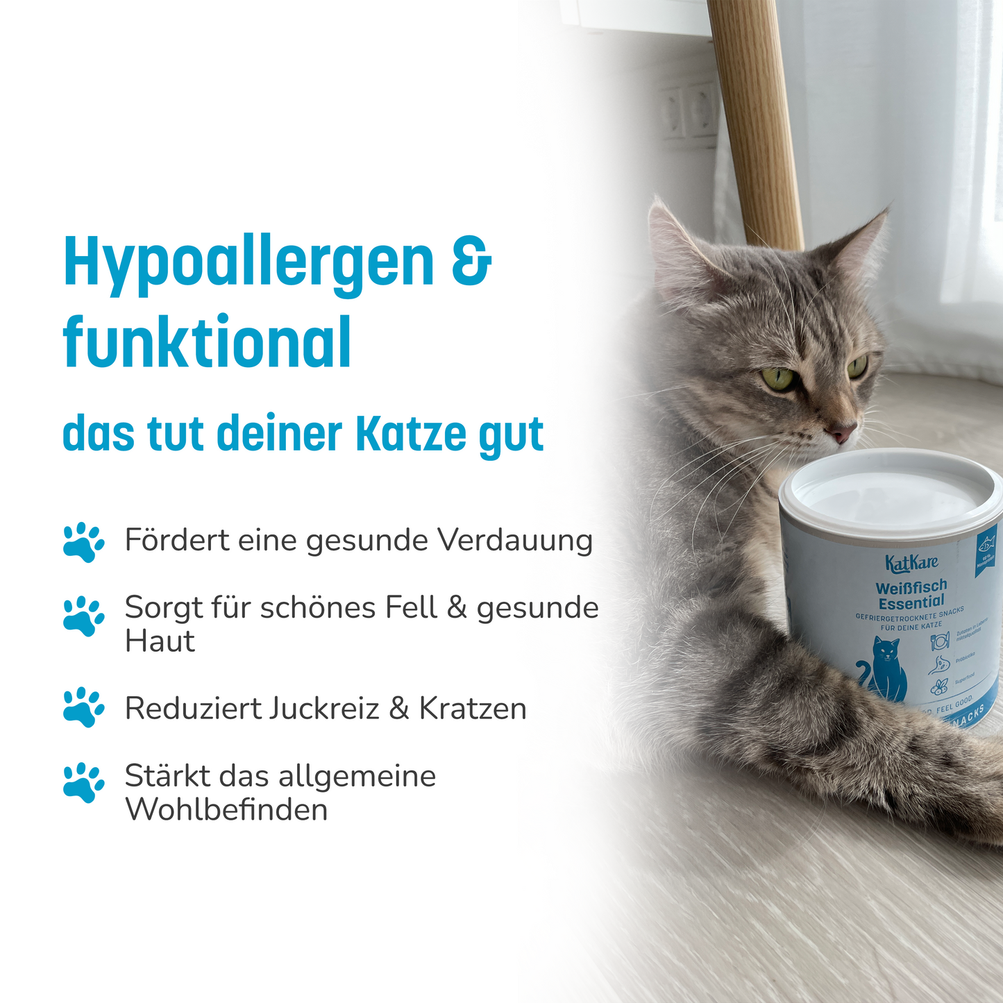 Box Hypoallergener Fischgenuss 2x 90g