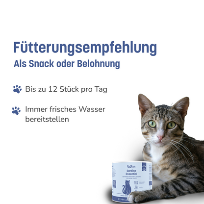 Box Hypoallergene Genuss-Vielfalt 6x 90g