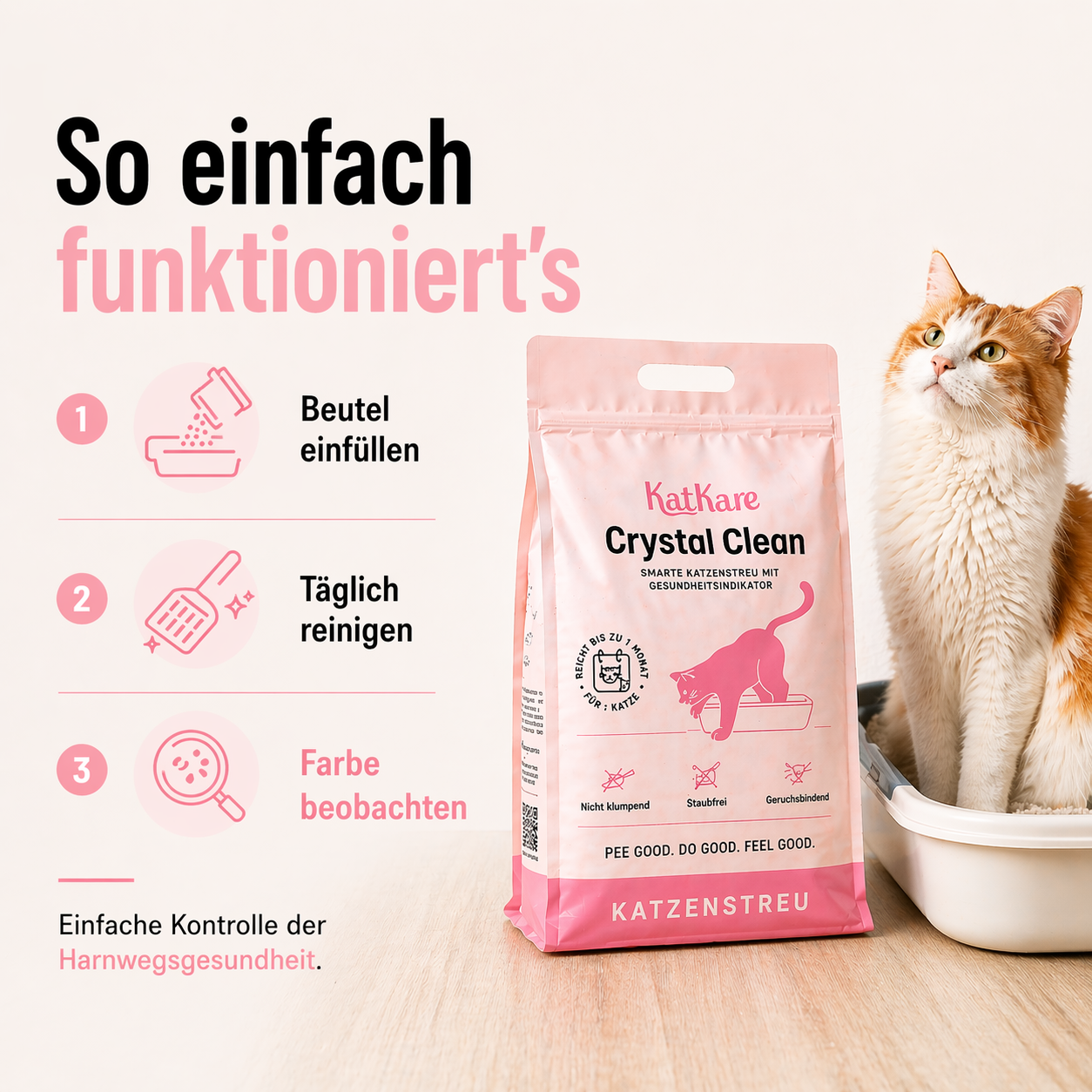 Vorratspack Crystal Clean, 6x 6,2L