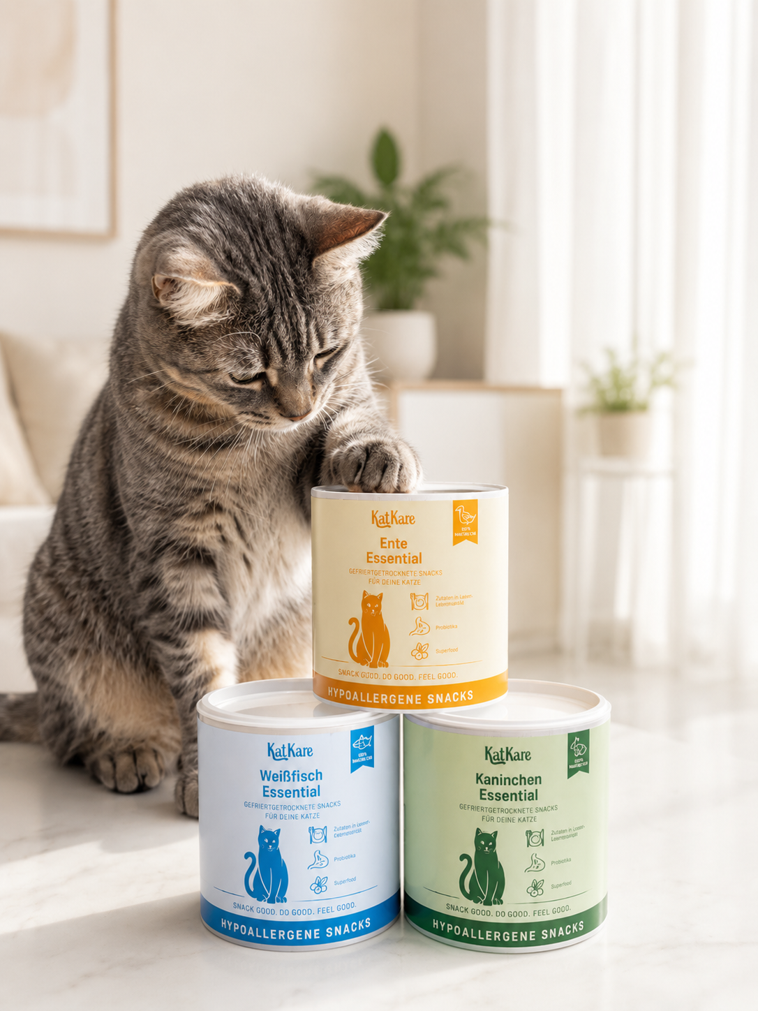 Silbergetigerte Katze schnuppert an einer KatKare Dose