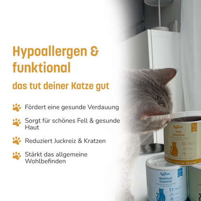 Schnupperbox Hypoallergener Fleischgenuss 4x 30g (Vorbestellung)