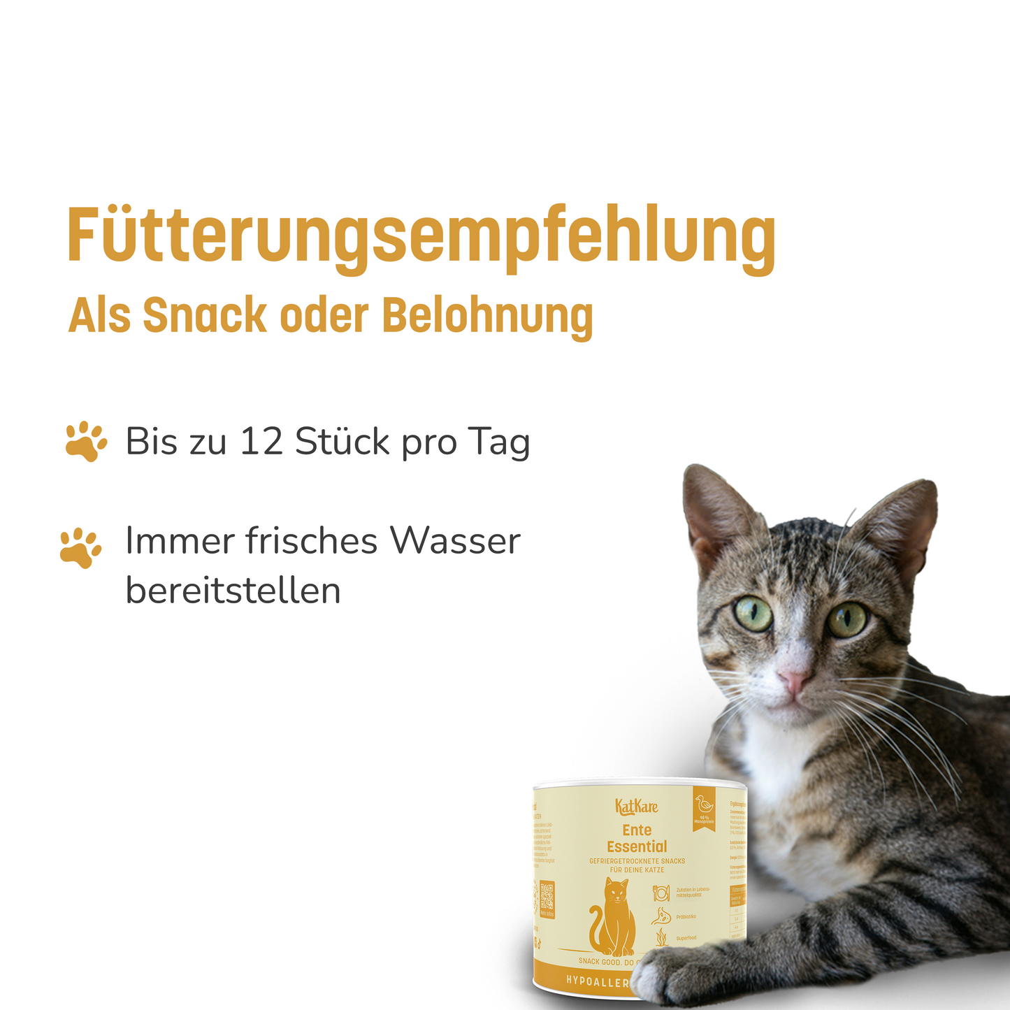 Schnupperbox Hypoallergener Fleischgenuss 4x 30g (Vorbestellung)