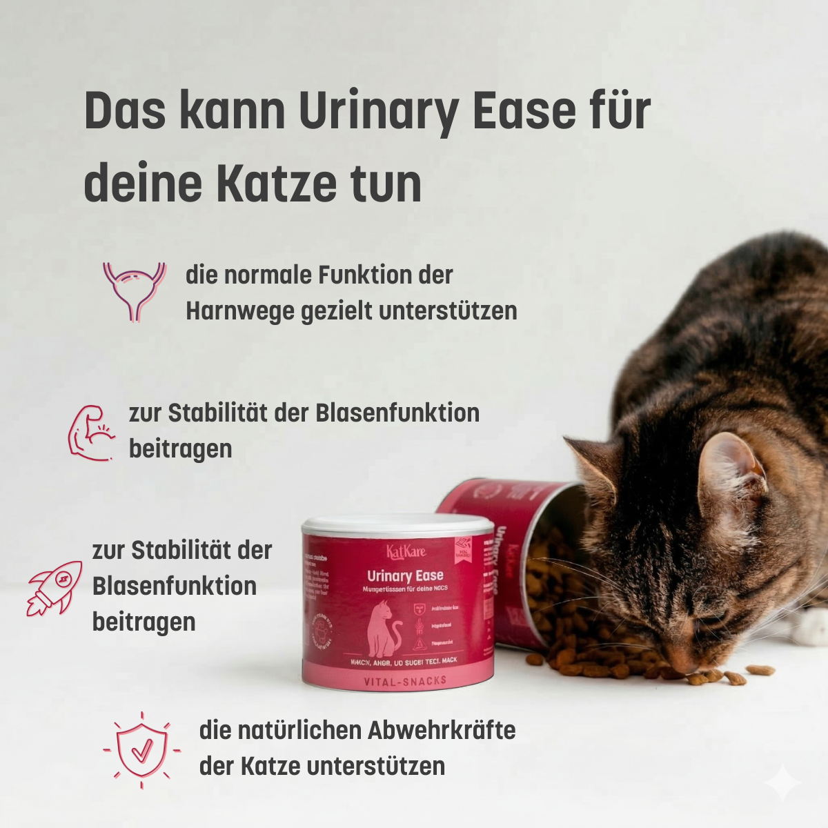 Urinary Ease, 150g, 4x