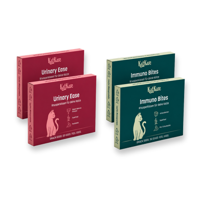Schnupperbox Vital Snacks 4x20g