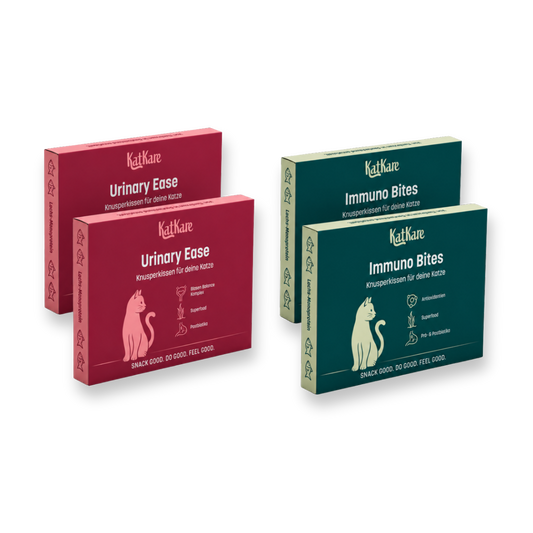 Schnupperbox Vital Snacks 4x20g